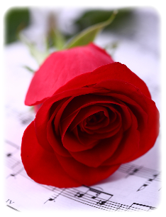 Rosa rossa sopra uno spartito errato